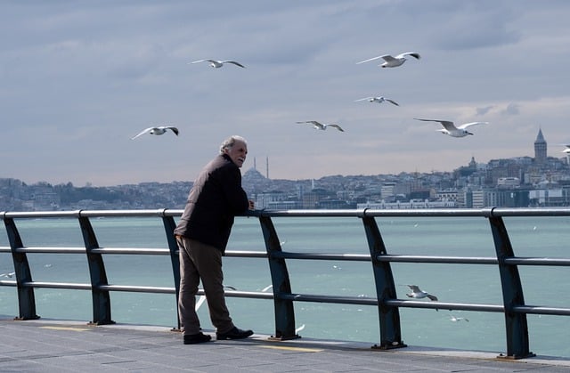 Adana Görüşmesinin Amaçları Nelerdir? Adana Görüşmesinin Amaçları Nelerdir?
