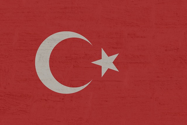 Erzincan Türk Mü? Erzincan Türk Mü?