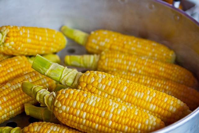 Glutensiz Beslenme Nedir? Glutensiz Beslenme Nedir?