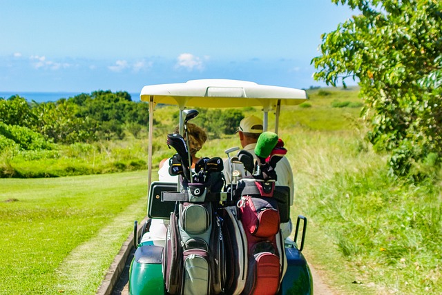 Golf 8 Fiyat Ne Olur? Golf 8 Fiyat Ne Olur?