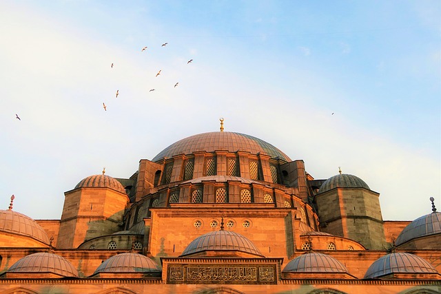 İstanbul Medipol Üniversitesi Hukuk Fakültesinde Hazırlık Var Mı? İstanbul Medipol Üniversitesi Hukuk Fakültesinde Hazırlık Var Mı?
