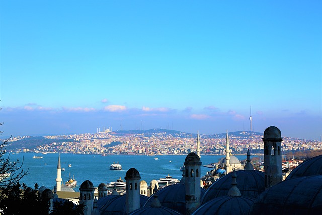İstanbulda Hangi Hayvancılık Yapılır? İstanbulda Hangi Hayvancılık Yapılır?