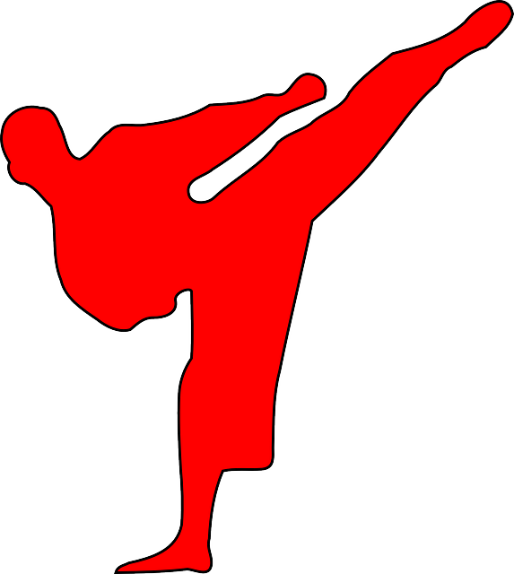 Judo Kokeni Nedir?