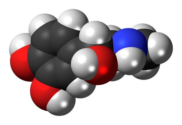 Sekretin Hormonu Neyi Uyarır? Sekretin Hormonu Neyi Uyarır?