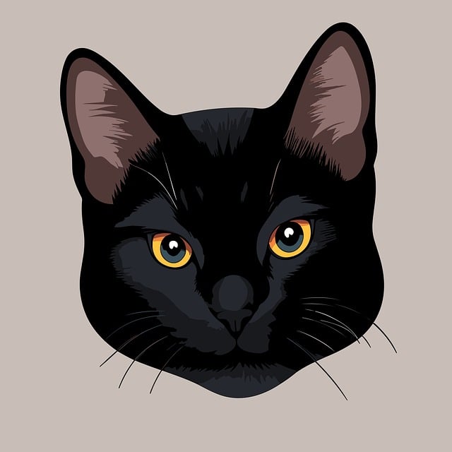 Uğur Böceği İle Kara Kedi Yeni Bölümler Saat Kaçta? Uğur Böceği İle Kara Kedi Yeni Bölümler Saat Kaçta?