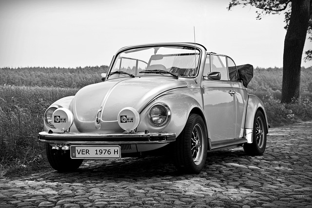Volkswagen Fiyatı Ne Kadar? Volkswagen Fiyatı Ne Kadar?