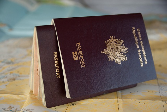 Yeşil Pasaport Yenileme İçin Neler Gerekli? Yeşil Pasaport Yenileme İçin Neler Gerekli?