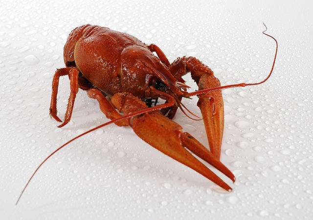 Aracınızın Motor Çalışırken Titreşim Yapmasının Sebepleri